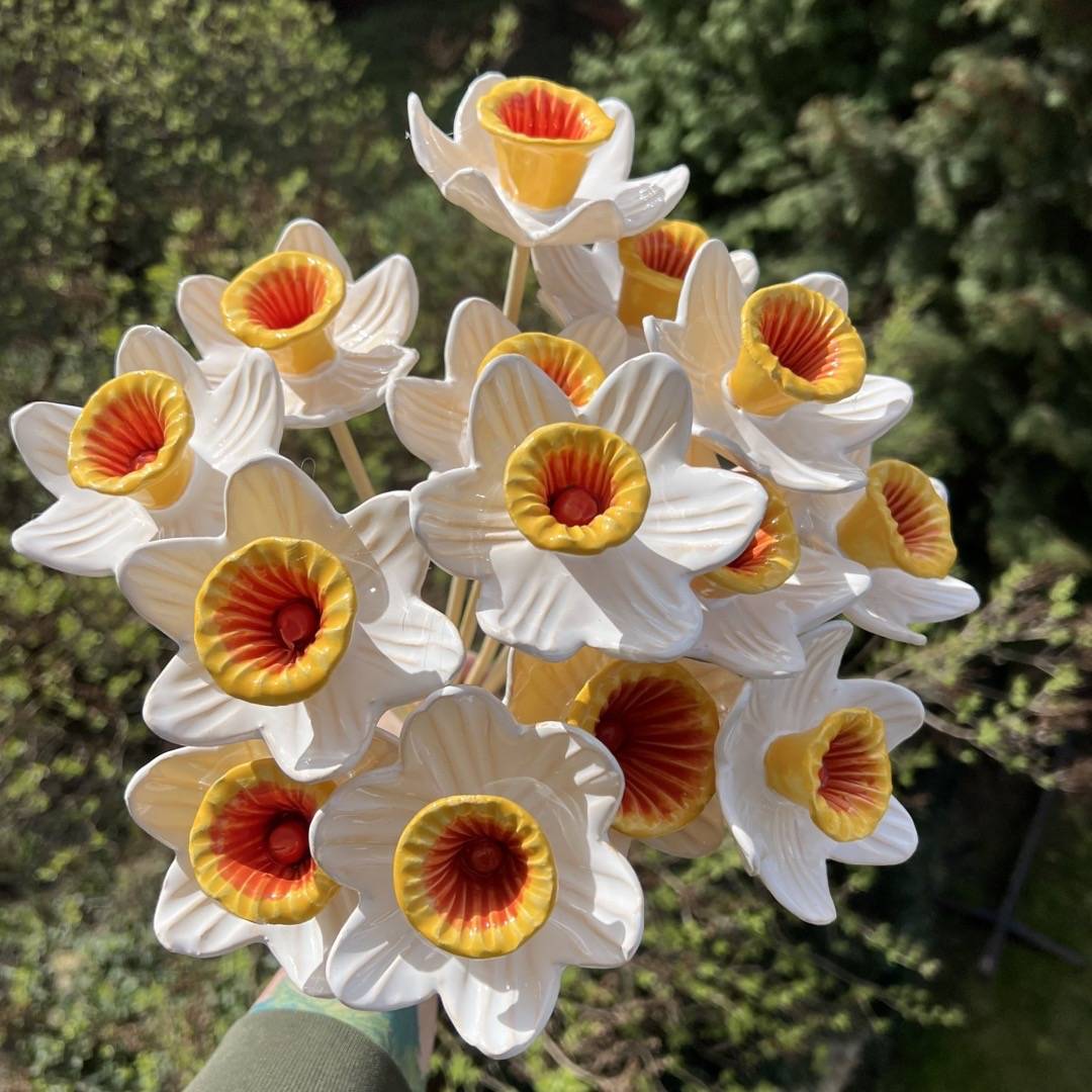 Kwiat Żonkil biały