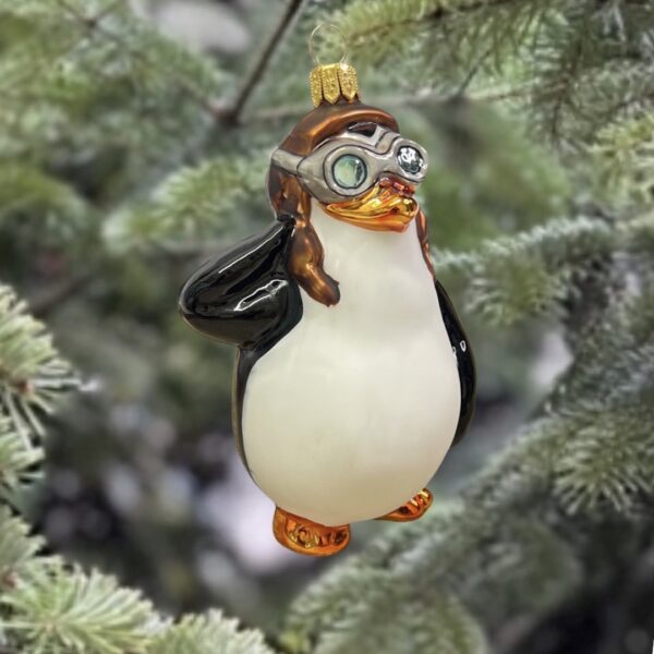Pingwin w okularach